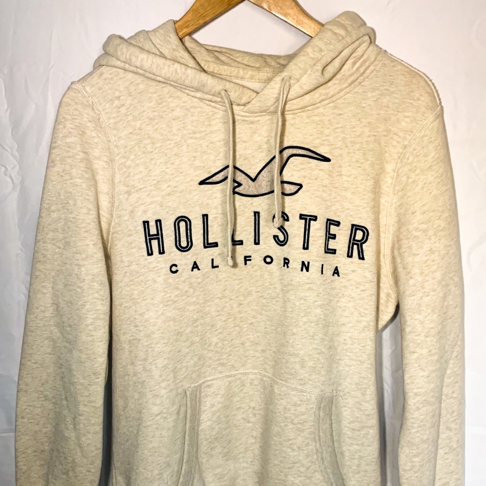 Light Being Tinted Hollister Hoodie